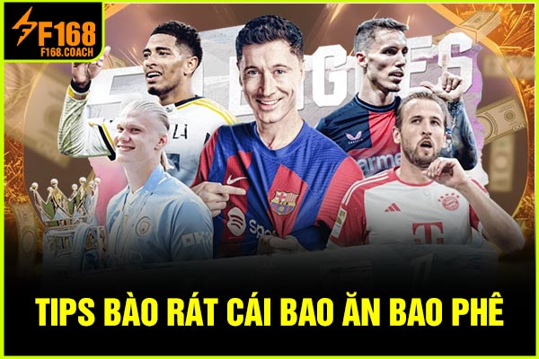 Tips bào rát cái bao ăn bao phê Tips bào rát cái bao ăn bao phê